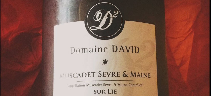 domaine david muscadet