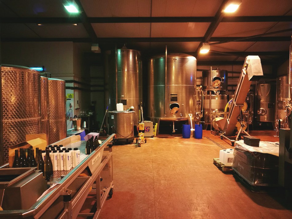 bolney vineyard fermentation room