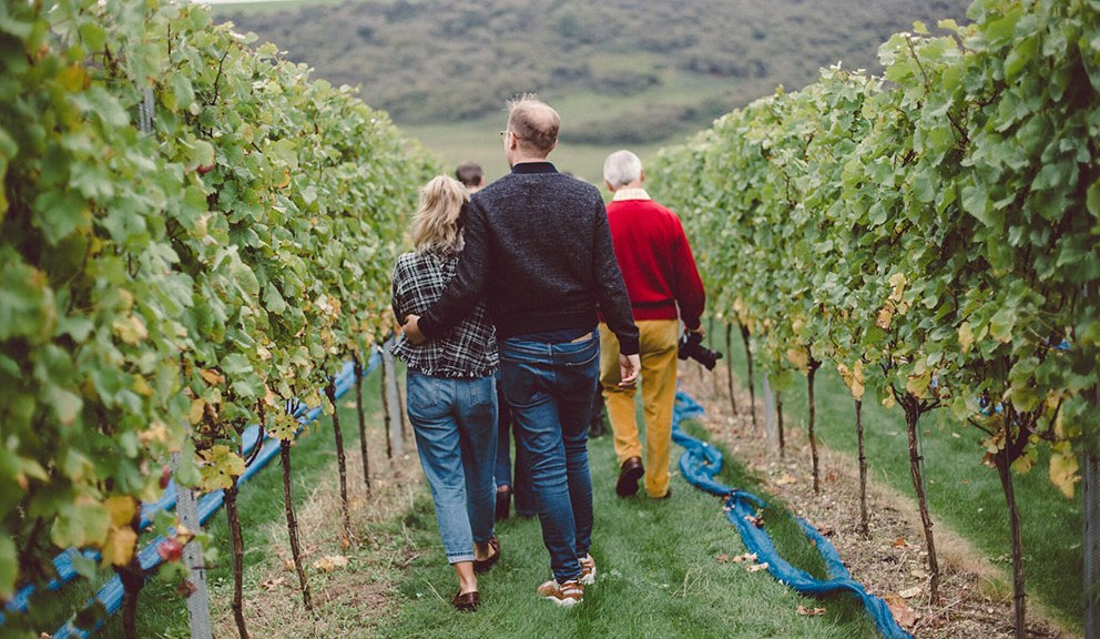 sussex vineyards tour