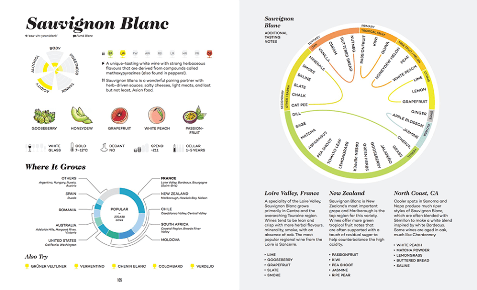 wine-folly-magnum-wine-ninjas